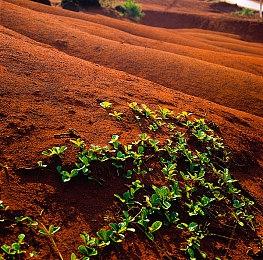 《寂静岭2：重制版》开发者抨击预告片 没有反应游戏的精神