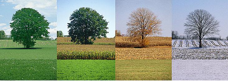 《博德之门3》Mod下载量超过5000万次